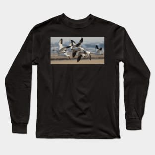 Migrating Snows 2 Long Sleeve T-Shirt